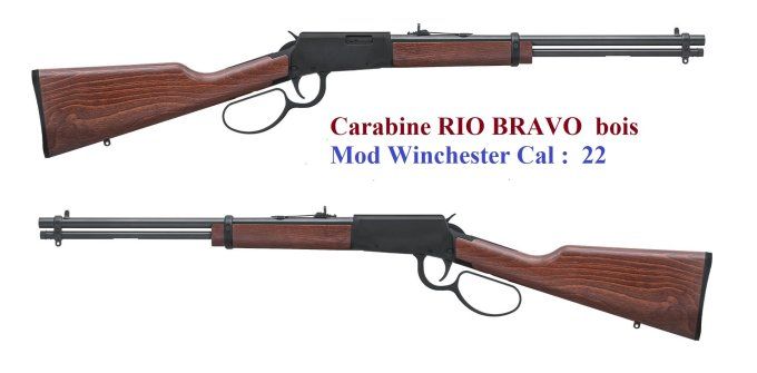 Carabine Rossi Rio Bravo bois Cal 22 Lr à levier sous garde