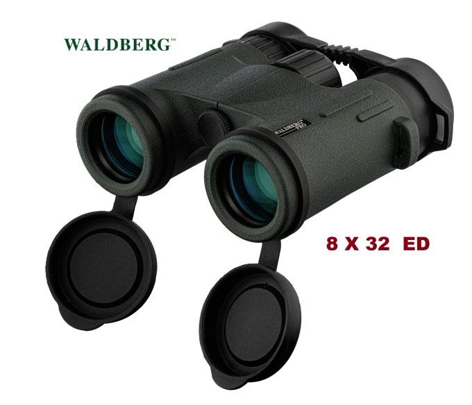 Jumelles Pro 8 X 32 ED - Waldberg