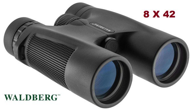 Jumelles Waldberg 8 x 42