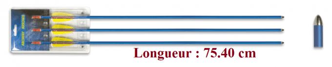 Set de 3 Flèches bleu de 75.40 cm