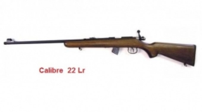 Carabine 22 Lr NORINCO Mod. JW15A