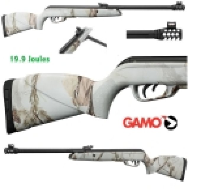 Carabine GAMO  Black 1000 winter / Camo neige