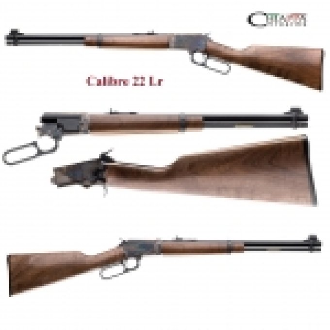 Winchester Mod.Take Down 22Lr ( Réplique Chiappa )