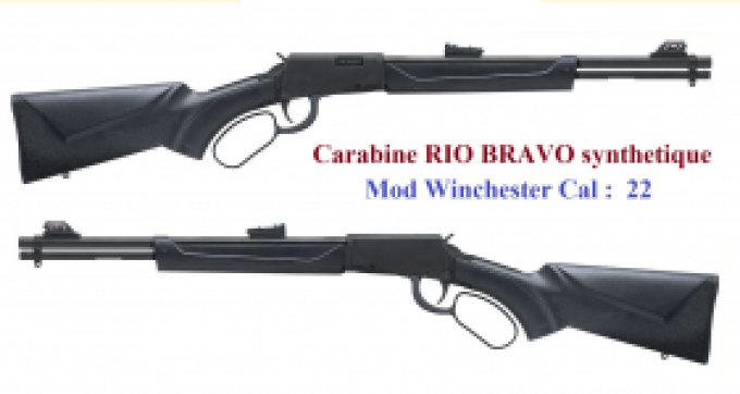 Carabine Rossi Rio Bravo synthetique  Cal 22 Lr à levier sous garde