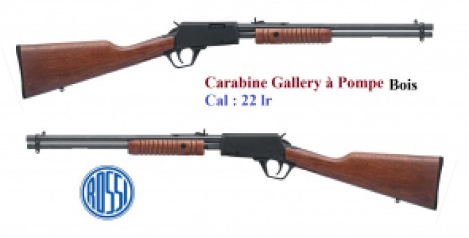 Carabine Rossi Gallery bois Cal 22 Lr à Pompe