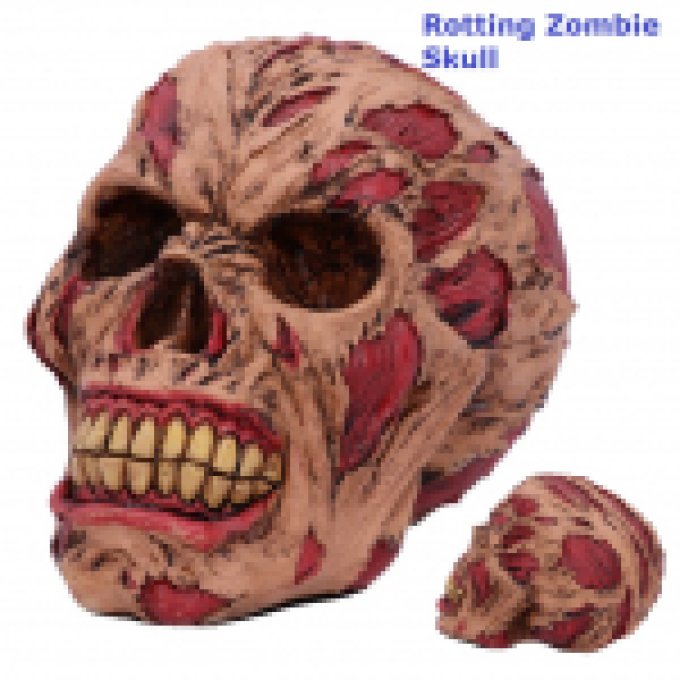 Crane rotting zombie skull