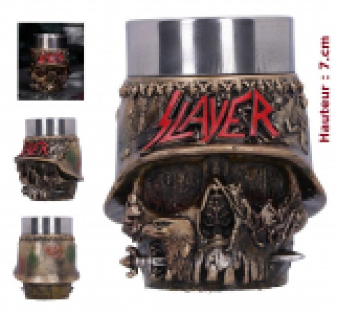 Verre Slayer SKULL